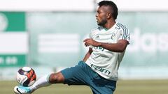 Ídolo de Palmeiras pide tener paciencia con Miguel Borja
