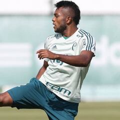 Ídolo de Palmeiras pide tener paciencia con Miguel Borja