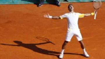 Novak Djokovic, despu&eacute;s de conseguir el punto definitivo. 