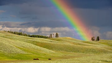 ¿Por qué el arcoiris tiene siete colores, cuáles son, cómo se forma y cuándo aparece en el cielo?