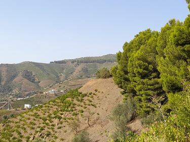 Vamos viendo un giro a la izquierda y, ahí sí, se ve la cima.