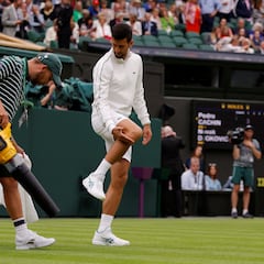 The leaf machine used at Wimbledon after Djokovic delayed
