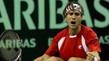 <b>EXULTANTE. </b>David Ferrer disfruta su victoria ante Mardy Fish.