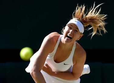 What next for Maria Sharapova after doping ban reduced?