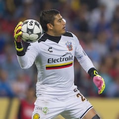 El Gansito Hernández también jugará en LBM