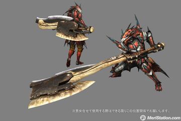 Captura de pantalla - monster_hunter_tri_29.jpg