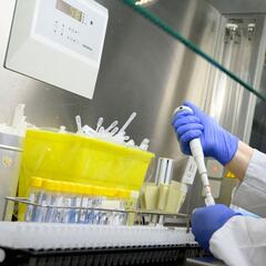 Inmunidad innata: un estudio revela por qué algunas personas no se contagian