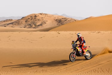 El argentino Luciano Benavides (KTM Factory Racing) se adjudicó este domingo la séptima etapa del Rally Dakar, su segunda victoria de esta edición después de ganar en la quinta jornada, y recortó distancias en la general respeto al líder, el australiano Daniel Sanders.