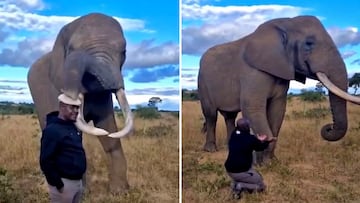 Un elefante trolea a un hombre que quería hacerse una foto con él: la secuencia es tremenda