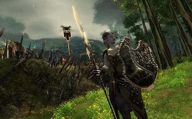 Guild Wars 2, Impresiones