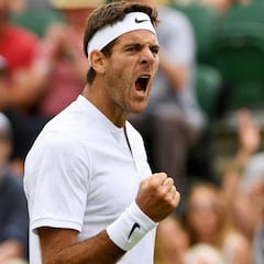 Del Potro y Raonic sudan y Djokovic pasa sin despeinarse