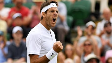 Del Potro y Raonic sudan y Djokovic pasa sin despeinarse