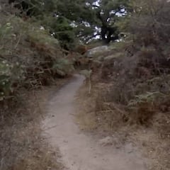 Apedrean a un ciclista de Algeciras al grito de "¡mátalo, mátalo!"