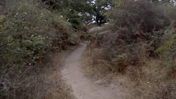 Trozo del camino a Las Pozas del R&iacute;o de la Miel (Algeciras), donde apedrearon a un vecino que daba un paseo en MTB.