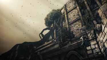 Galería y vídeos Dark Souls II