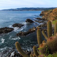 Temblor en Chile hoy, 16 de agosto: de cuánto fue, epicentro y en qué regiones se sintió el sismo