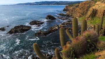 Temblor en Chile hoy, 16 de agosto: de cuánto fue, epicentro y en qué regiones se sintió el sismo
