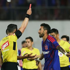 Golpe a la U en el Tribunal de Disciplina: ‘Paqui’ Meneghini sufre