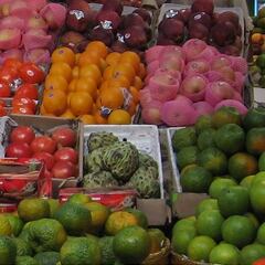 Bono Canasta Básica 2023: cómo saber con mi RUT si lo cobro y fechas de pagos