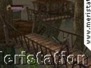 Dungeon & Dragon Heroes  (GameCube)