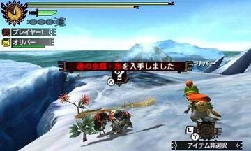 Captura de pantalla - Monster Hunter 4 (3DS)