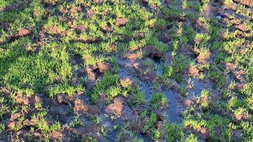 El Ejido se queja del estado del campo cedido por el Depor