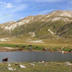 Giro de Italia hoy, etapa 7: horario, perfil y recorrido