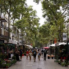 ¿En qué zonas de Cataluña está habiendo más casos?