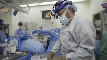 Cirujanos de Nueva York realizan trasplante de riñón de cerdo a un hombre con muerte cerebral, pero ¿fue exitoso? Aquí los detalles