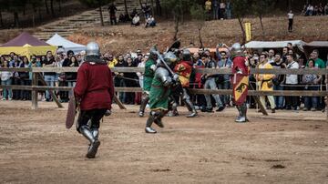 En los alrededores del Castillo de Belmonte, Cuenca, se ha disputado el IV Torneo Nacional de combate medieval, que goza cada año de más aficionados. 
 