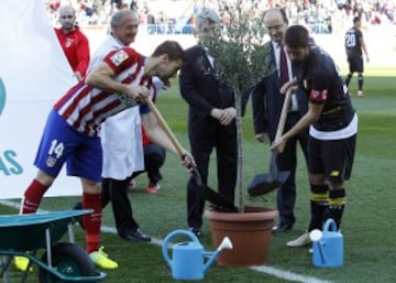 Los capitanes de ambos equipos plantan un olivo bendecido por el Papa. 