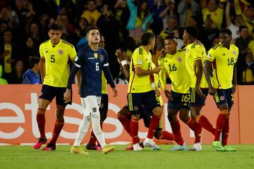 La Selección sumó tres puntos claves en el Sudamericano sub y quedó muy cerca de la clasificación al Mundial de la categoría.
