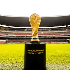 “Se va a paralizar el país cuando se juegue el Mundial”