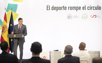 Pedro Sánchez, presidente del Gobierno de España.