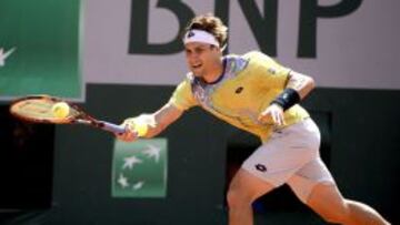 David Ferrer.