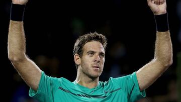 Juan Martin Del Potro, tras su triunfo ante Robin Hasse.