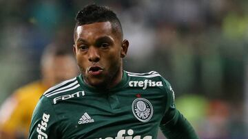 Miguel Ángel Borja disputa un partido con Palmeiras.