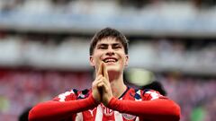 ¿Hormiga al Mundial?