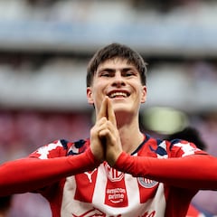 ¿Hormiga al Mundial?