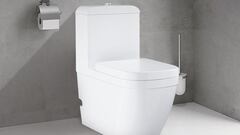 Los motivos por los que no deberías tirar nada por el inodoro, ni siquiera papel higiénico