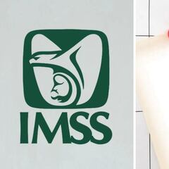 Pensión IMSS e ISSSTE: ¿cuándo depositan el pago de agosto y calendario completo?