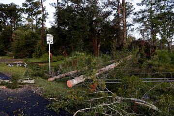 Cables eléctricos y árboles caídos yacen en el suelo en medio de los daños causados ​​por el huracán Helene en Crawfordville, Florida. Esto ha provocado cortes de energía en todo el estado. Según Poweroutage.com, alrededor de 835,629 de clientes en Florida se encuentran sin electricidad.