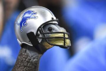 Un pavo viste el casco de los Detroit Lions.