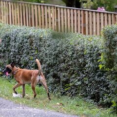 Declaraciones reveladoras sobre el caso Madeleine McCann