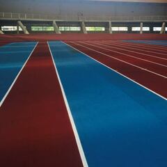 La crisis del coronavirus obliga a aplazar el Mundial indoor