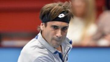 David Ferrer