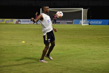 El camino a Qatar comienza con el partido frente a Venezuela en el Metropolitano de Barranquilla (6:30 p.m.) y finaliza el 22 de marzo de 2022 contra el mismo rival, pero de visitante. La banda de Falcao, James y compañía se ilusiona con clasificar a Colombia a su tercer Mundial consecutivo luego de Brasil 2014 y Rusia 2018.