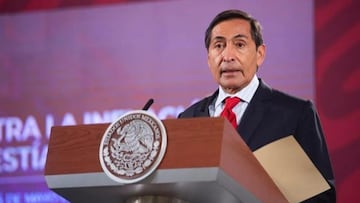 Perfil: ¿Quién es Rogelio Ramírez de la O, titular de la Secretaría de Hacienda?