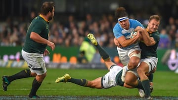 Los Pumas - Sudáfrica: horario, TV y cómo ver en vivo online