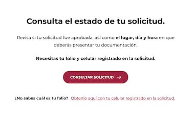 ¿Cómo consultar el estado de la solicitud de registro para Mujeres con Bienestar Edomex?: paso a paso